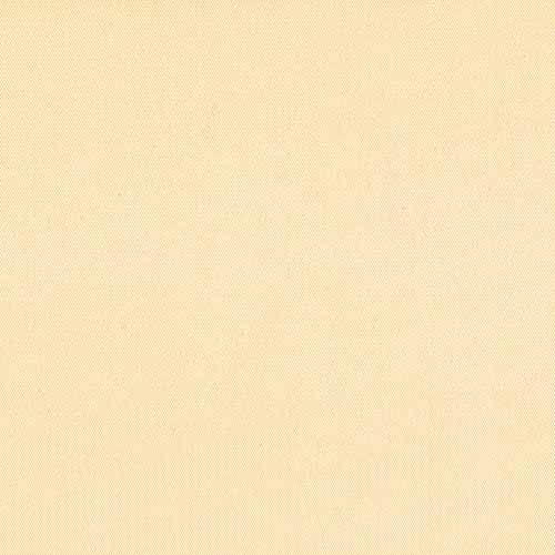 CARNIVAL_IVORY