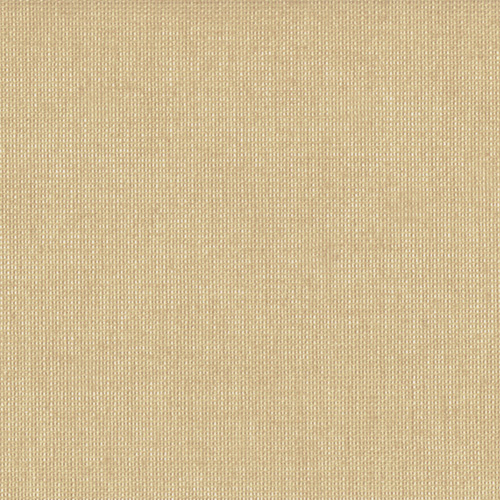 VOILE_SANDSHELL.jpg