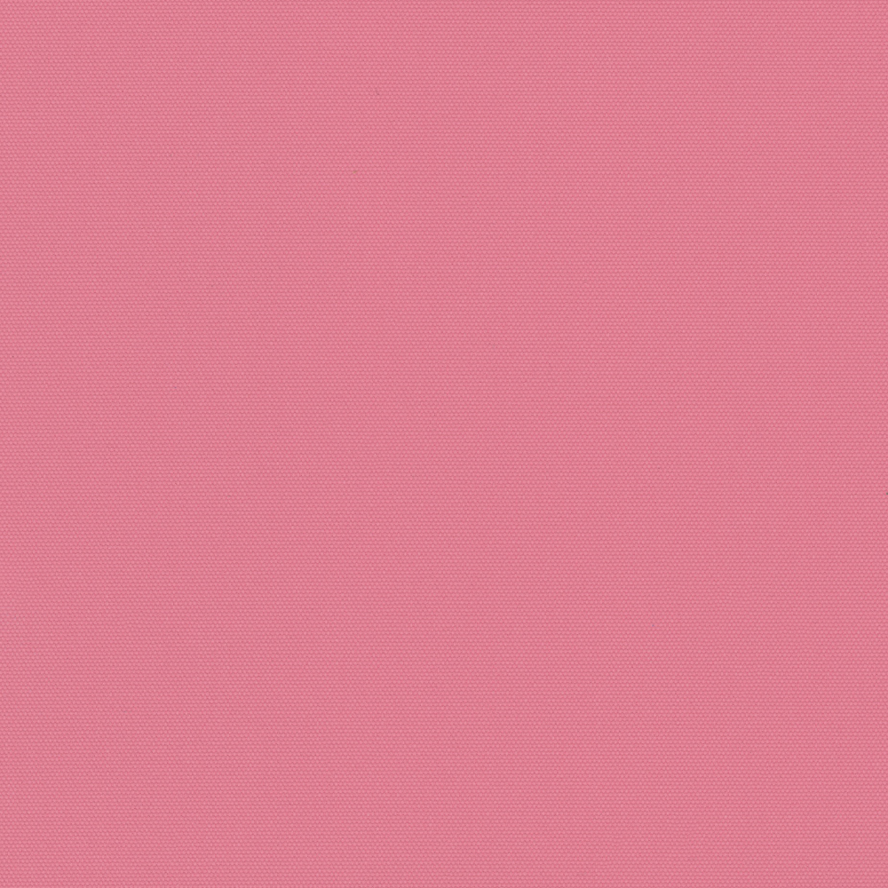 CARNIVAL_BO_BUBBLEGUM.jpg