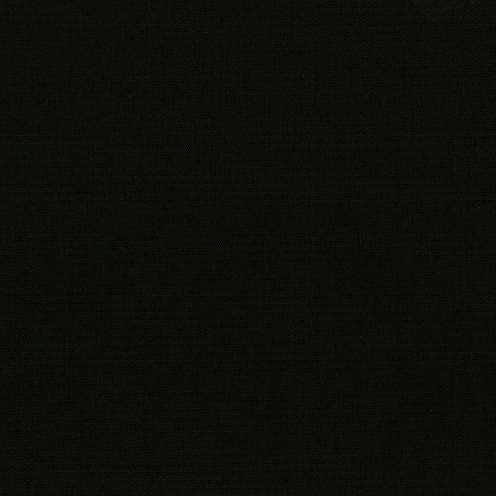 CARNIVAL_BO_RAVEN.jpg