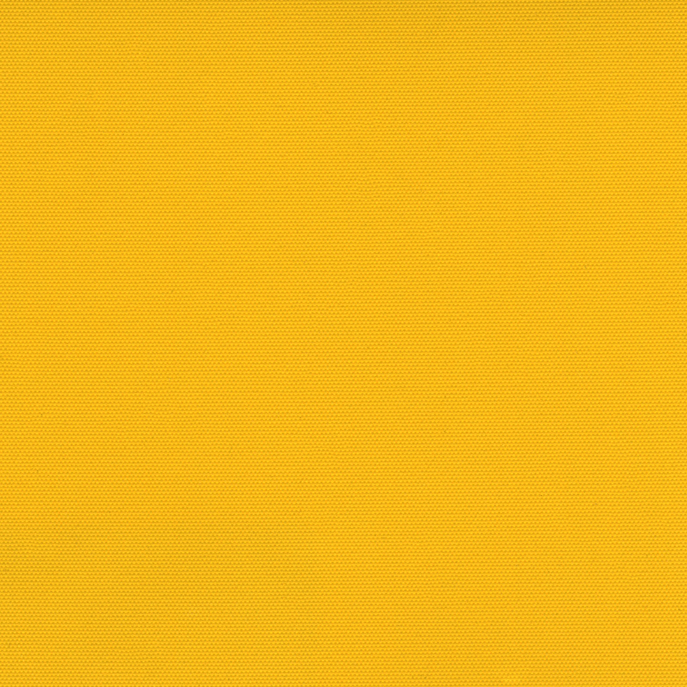 CARNIVAL_OCHRE.jpg