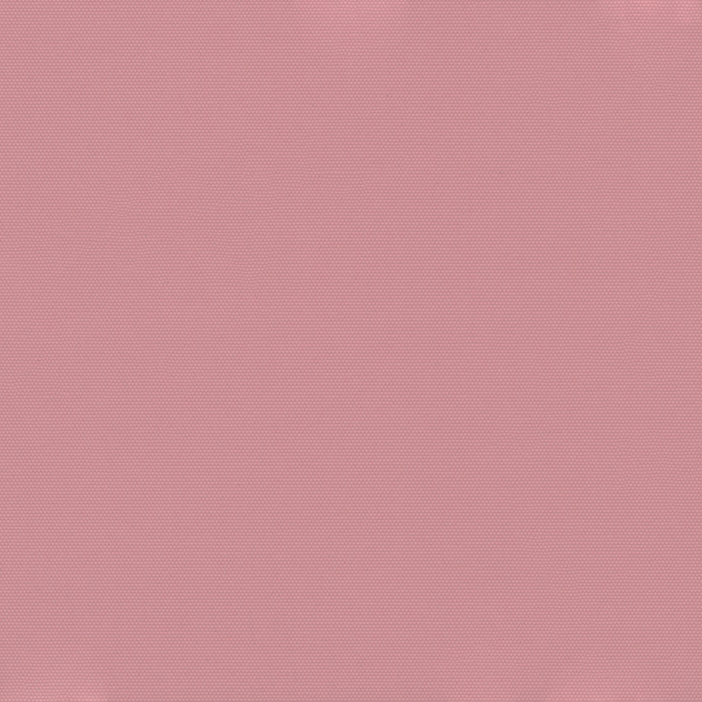 CARNIVAL_PINK.jpg