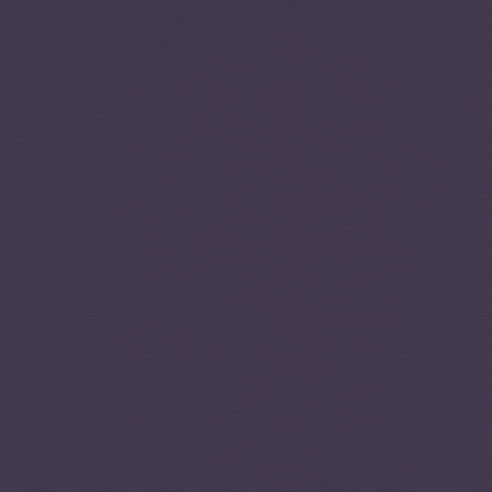 CARNIVAL_PURPLE.jpg