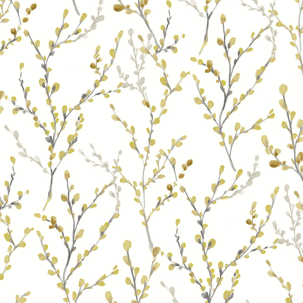 WILLOW_BO_BRAZEN_YELLOW.jpg